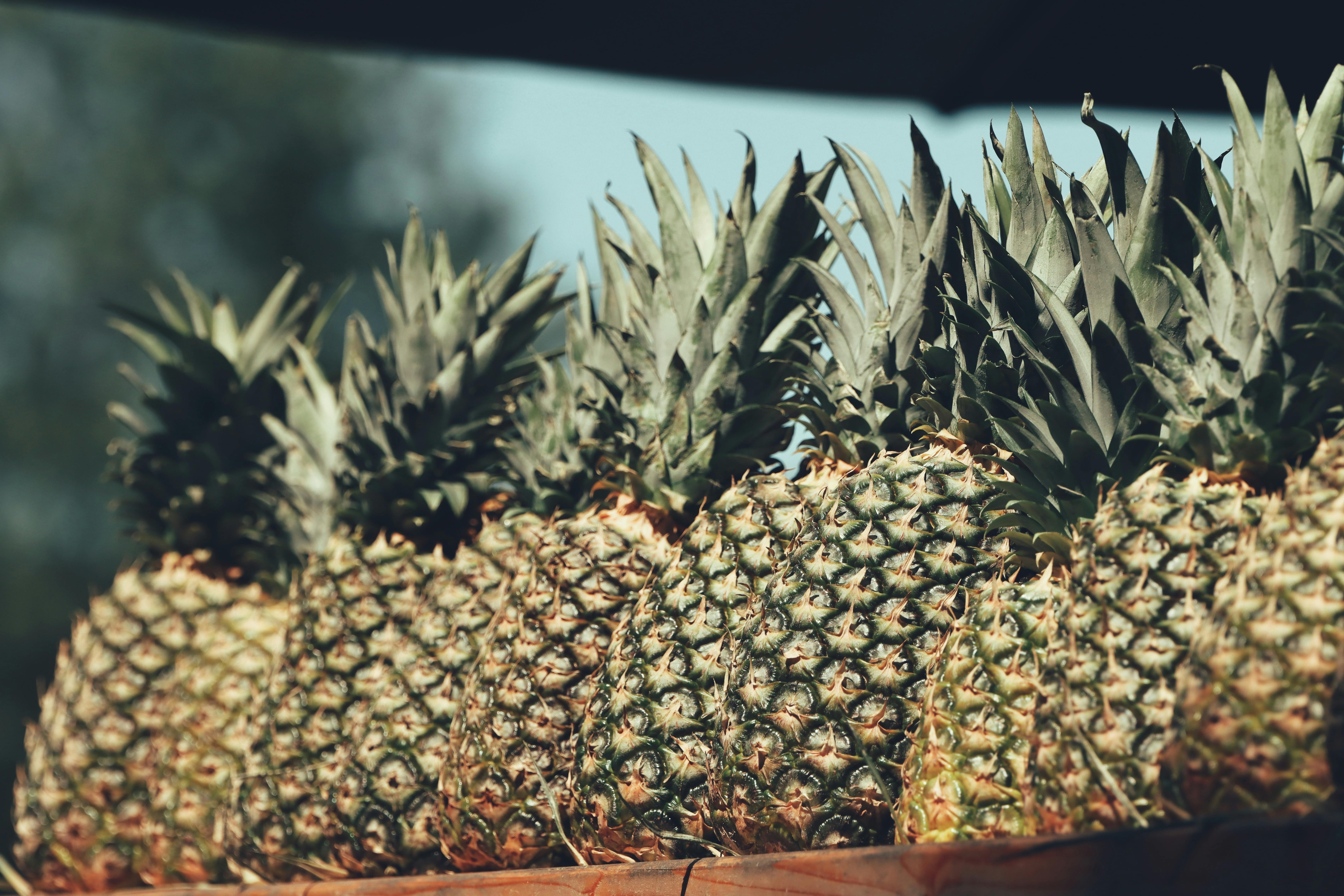 Comprehensive Guide to Sour Cream Nutrition Facts for 2025