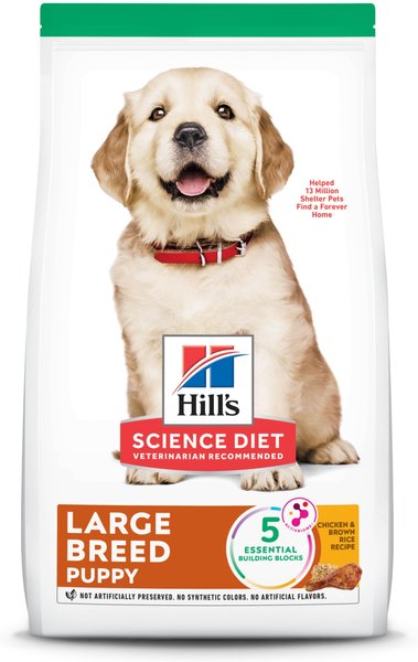 Top 5 Science Diet Puppy Food Options for Healthy Growth in 2025