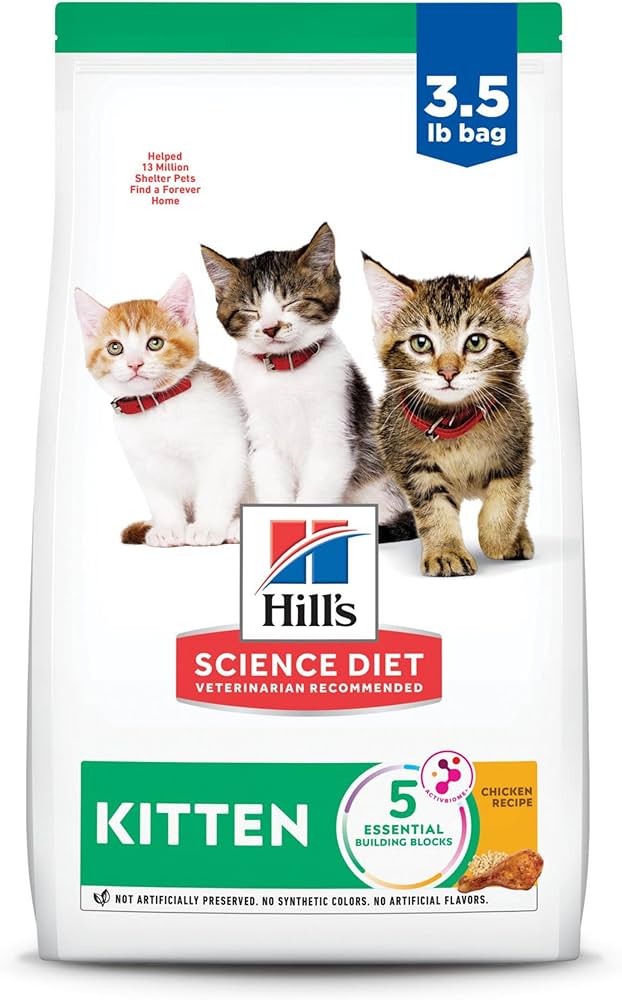 Best 7 Science Diet Kitten Food Options for Healthy Growth in 2025