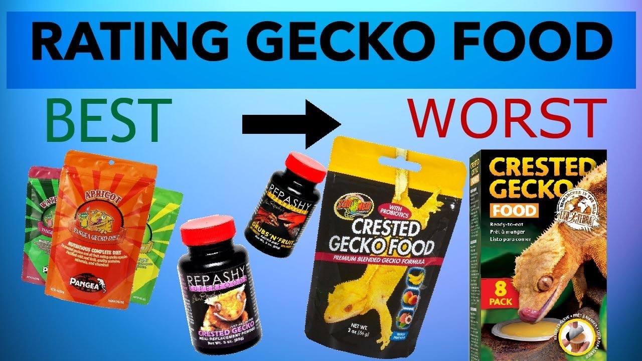 Crested Gecko dietary options