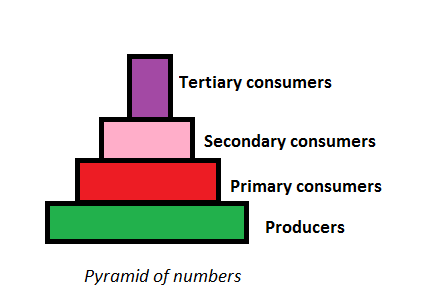 Effective Ways to Build a Pyramid of Numbers for Fast Learning in 2025